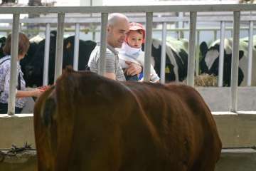 Más de 900 animales en la Feria de Ganado de Gran Canaria (Foto TA)